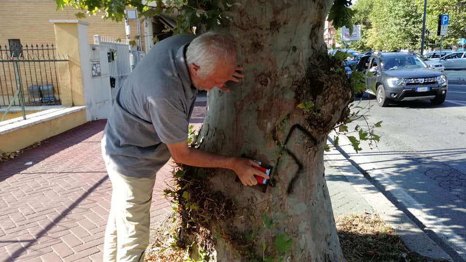 sindaco montino