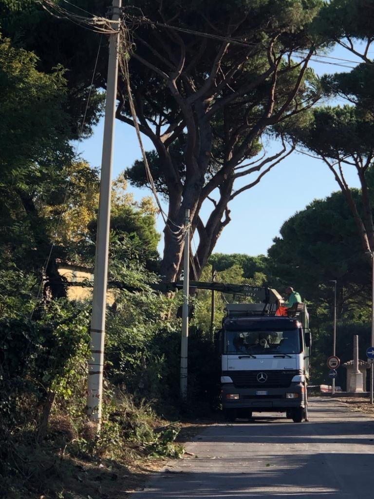 lavori di potatura e messa in sicurezza degli alberi sul territorio